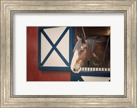 Framed Patriotic Pony I