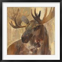 Into the Wild II Framed Print