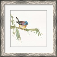 Framed Finch