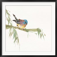 Framed Finch