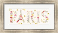 Framed Paris Blooms V