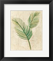 Framed Sago Palm Leaves Neutral Crop