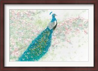 Framed Spring Peacock I Pink Flowers