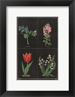 Framed Botanical on Black Chart III