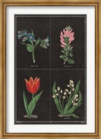 Framed Botanical on Black Chart III