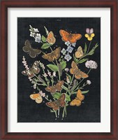 Framed Butterfly Bouquet on Black I