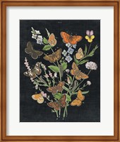 Framed Butterfly Bouquet on Black I