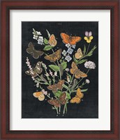 Framed 'Butterfly Bouquet on Black I' border=