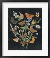 Butterfly Bouquet on Black I Framed Print