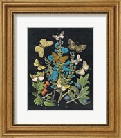 Framed Butterfly Bouquet on Black II