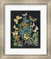 Framed 'Butterfly Bouquet on Black II' border=