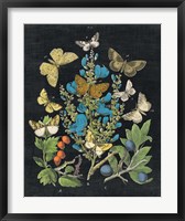 Framed Butterfly Bouquet on Black II