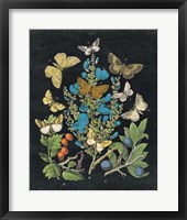 Framed 'Butterfly Bouquet on Black II' border=