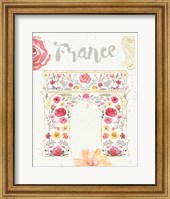 Framed Paris Blooms II