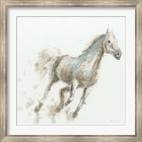 Framed Stallion I