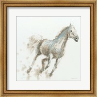 Framed Stallion I