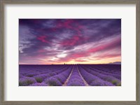 Framed Pink and Purple
