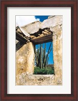 Framed Cactus View