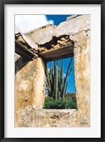 Framed Cactus View