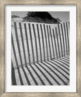 Framed I.R. Fla Fence 2