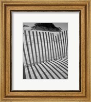 Framed I.R. Fla Fence 2
