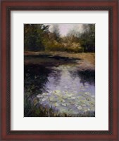 Framed Oregon Water Lilies