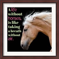 Framed Horse Quote 7