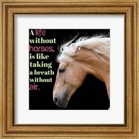Framed Horse Quote 7