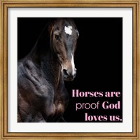 Framed Horse Quote 8
