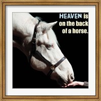 Framed Horse Quote 9