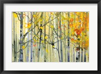 Framed Autumn Birches