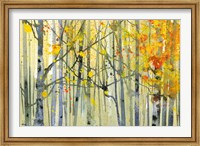 Framed Autumn Birches