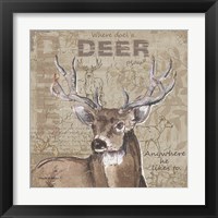 Framed Where Does a Deer Play