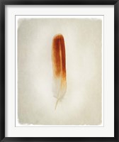 Framed Feather II
