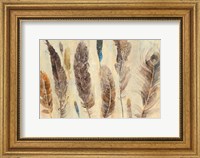 Framed Feather Study