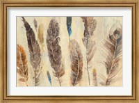 Framed Feather Study
