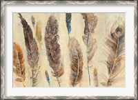 Framed Feather Study