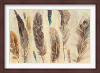 Framed Feather Study