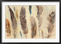 Feather Study Framed Print