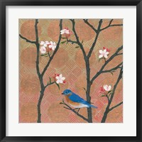 Framed Cherry Blossoms I