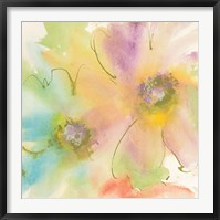 Framed Rainbow Cosmos II