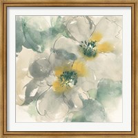 Framed Silver Quince I