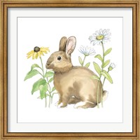 Framed Wildflower Bunnies II Sq