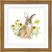 Framed Wildflower Bunnies III Sq