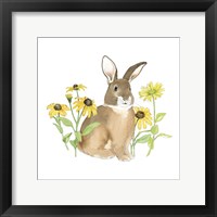 Framed Wildflower Bunnies III Sq