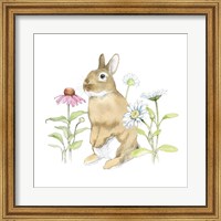 Framed Wildflower Bunnies IV