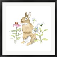 Framed Wildflower Bunnies IV