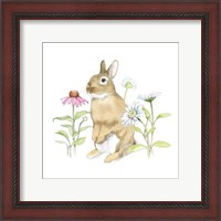 Framed Wildflower Bunnies IV