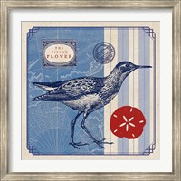 Framed Sea Bird I