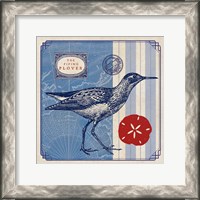 Framed Sea Bird I